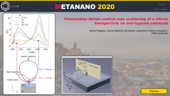 METANANO 2020  Polarization driven control over scattering of a silicon  nanoparticle on