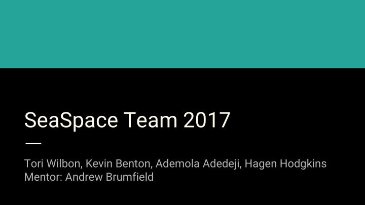 seaspace team 2017