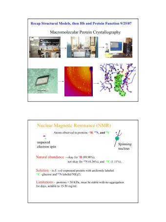 Nuclear Magnetic Resonance (NMR) Atoms observed in proteins - 1 H , 15 N, and 13 C  +  unpaired