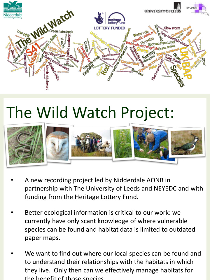 the wild watch project