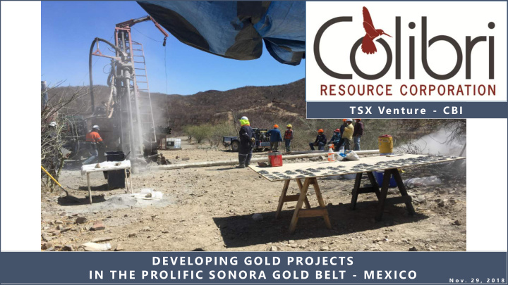 developing gold projects in the prolific sonora gold belt