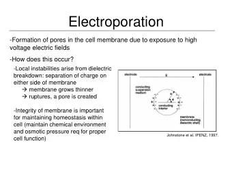 Electroporation  -Formation of pores in the cell membrane due to exposure to high  voltage electric