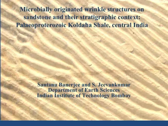 Microbially originated wrinkle structures on  sandstone and their stratigraphic context: