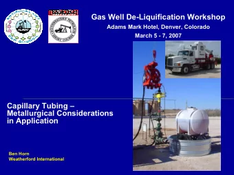 Gas Well De-Liquification Workshop  Adams Mark Hotel, Denver, Colorado  March 5 - 7, 2007