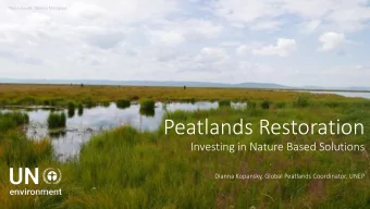 Peatlands Restoration  Investing in Nature Based Solutions  Dianna Kopansky, Global Peatlands