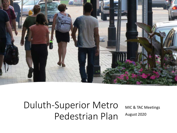 duluth superior metro