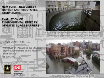 ENVIRONMENTAL EFFECTS  OF GATED SURGE BARRIERS  H. L. Carey Tunnel between Manhattan and Brooklyn