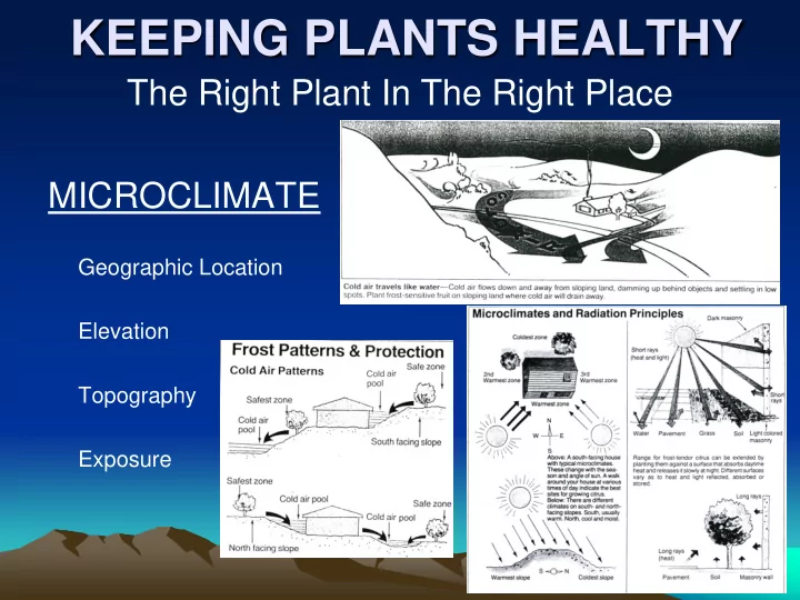 keeping plants healthy