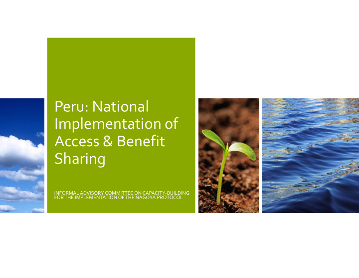 peru national implementation of access benefit sharing