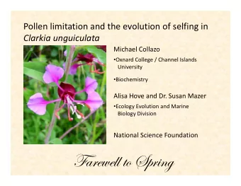 Ytxx  f|z  Reproductive structures Reproductive structures  Wildfl Wildflowers