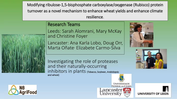 rese search teams