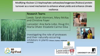 Rese  search Teams  Leeds: Sarah Alomrani, Mary McKay  and Christine Foyer  Lancaster: Ana Karla