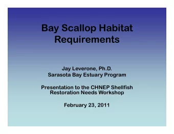 Bay Scallop Habitat  Requirements  Jay Leverone, Ph.D.  Sarasota Bay Estuary Program  Presentation
