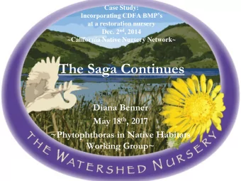 The Saga Continues  Diana Benner May 18 th , 2017  ~Phytophthoras in Native Habitats  Working