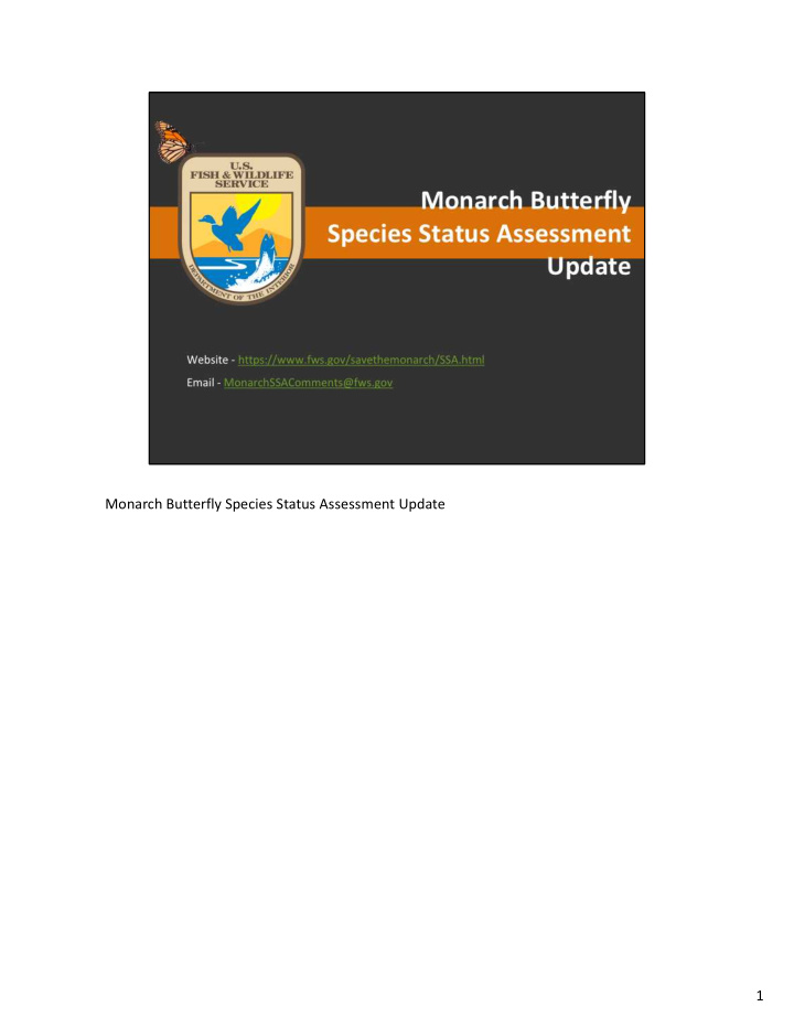 monarch butterfly species status assessment update 1 in