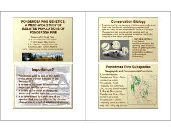 4 / 5 NOTES:  Modern forestry research identifies four different taxa of Ponderosa Pine, with