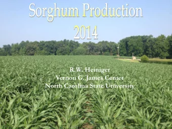 North Carolina State University NC STATE UNIVERSITY  Corn Price Required to  Cover Input Costs