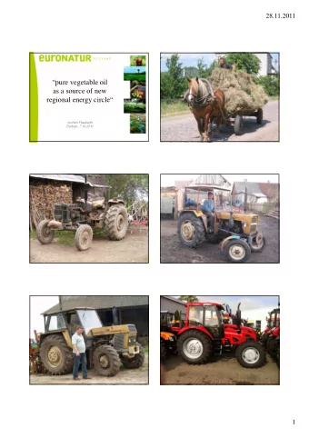 pure vegetable oil  as a source of new  regional energy circle  Jochen Flasbarth  Durban,