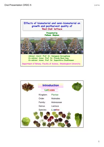 Introduction  Lettuces Kingdom :  Plantae Order :  Asterales  Family:  Asteraceae Genus :  Lactuca