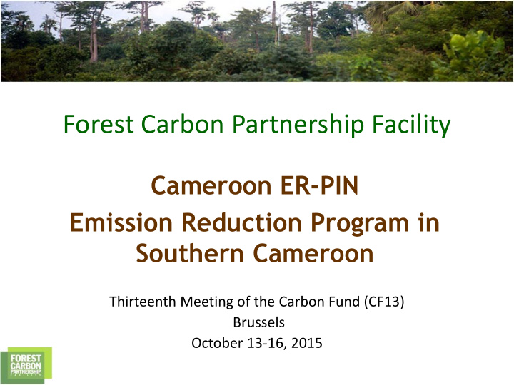 forest carbon partnership facility