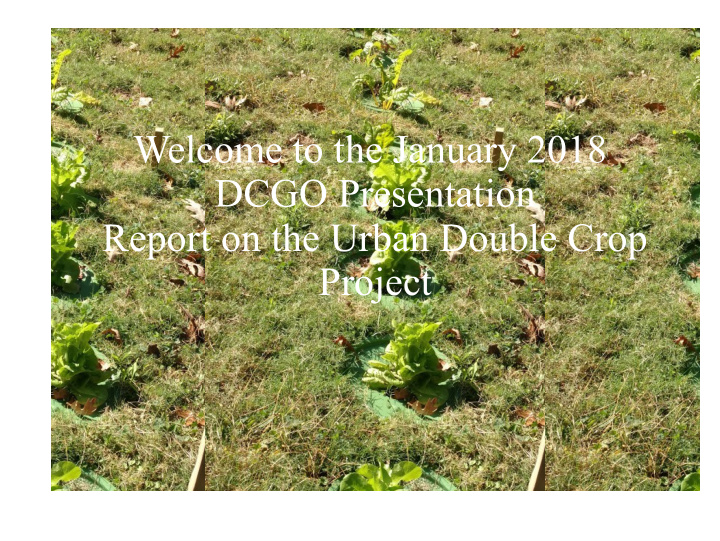 welcome to the january 2018 dcgo presentation report on