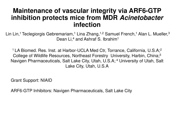 maintenance of vascular integrity via arf6 gtp inhibition