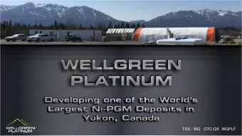 TSX:  WG   OTC:QX  WGPLF  Cautionary Statement The information contained in this presentation