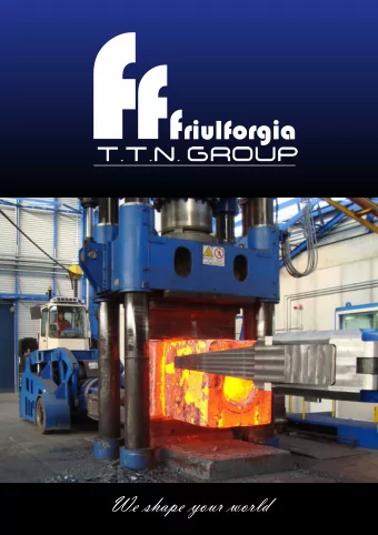 We shape your world  #  FORGING  HEAT TREATMENTS  MACHINING  ASSEMBLIES  Friulforgia is a