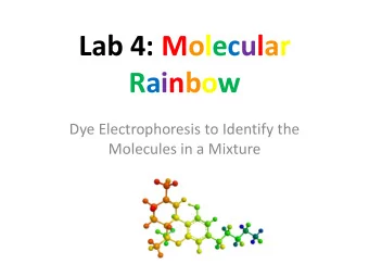Lab 4: Molecular  Rainbow  Dye Electrophoresis to Identify the  Molecules in a Mixture  Notebook