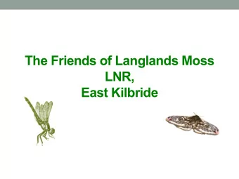 The Friends of Langlands Moss  LNR,  East Kilbride  Aerial View of Langlands Moss Local Nature