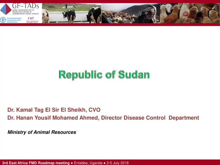 dr kamal tag el sir el sheikh cvo dr hanan yousif mohamed
