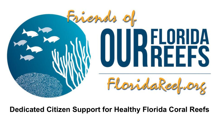 dedicated citizen support for healthy florida coral reefs