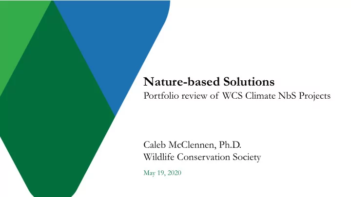 nature based solutions
