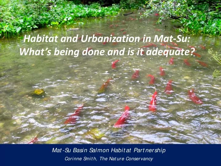 matanuska susitna basin salmon habitat partnership