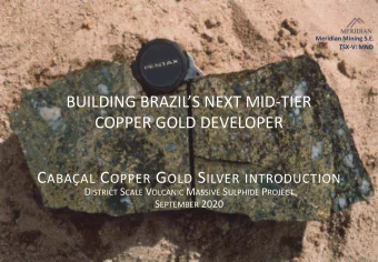 BUILDING BRAZILS NEXT MID-TIER  COPPER GOLD DEVELOPER C ABAAL C OPPER G OLD S ILVER