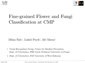 F  i  n  e  -  g  r  a  i  n  e  d  F  l  o  w  e  r  a  n  d  F  u  n  g  i  C  l  a  s  s  i  fj