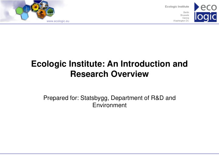 ecologic institute an introduction and research overview