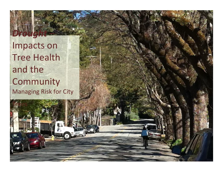 drought impacts on tree health and the community