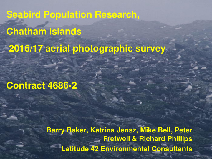 seabird population research chatham islands 2016 17