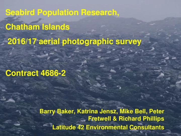 seabird population research chatham islands 2016 17