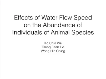Effects of Water Flow Speed  on the Abundance of  Individuals of Animal Species  Ko Chin Wa  Tsang