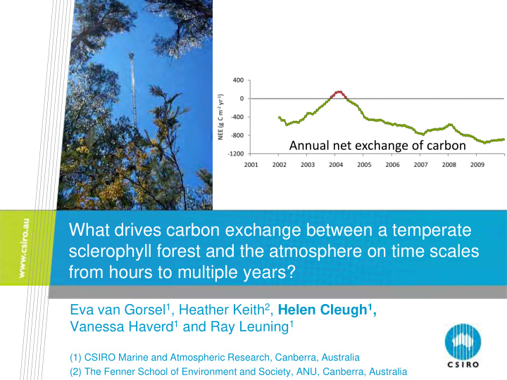 what drives carbon exchange between a temperate