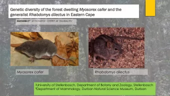 generalist neralist Rhabdom  bdomys dilect  lectus us in  n East  stern  ern Cape MATAMBA E * 1 LR