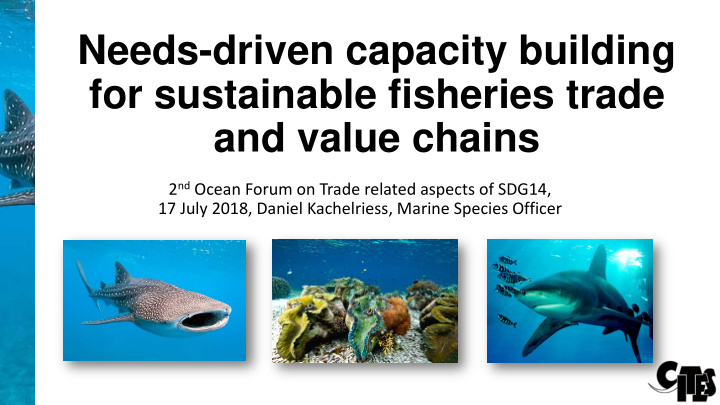 needs driven capacity building for sustainable fisheries