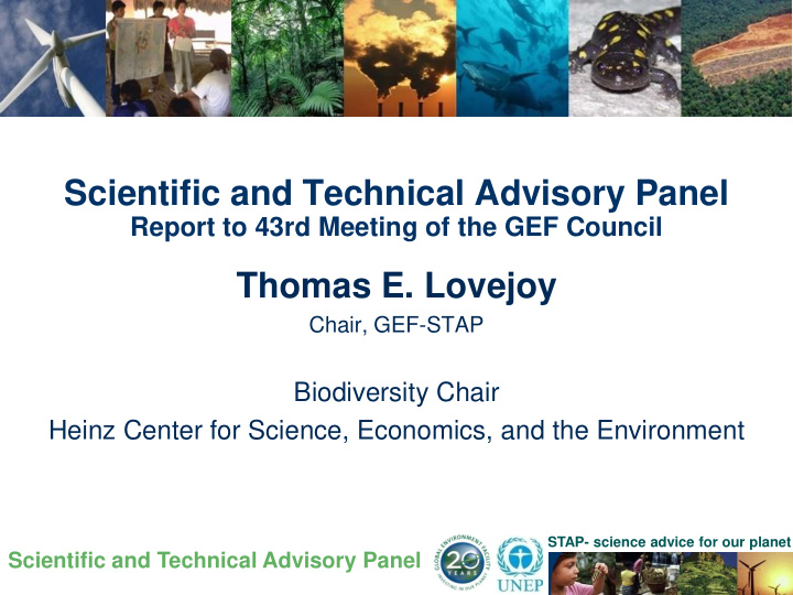 scientific and technical advisory panel