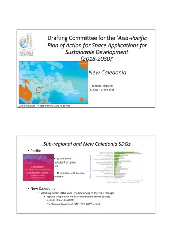 Drafting Committee for the  AsiaPacific  Plan of Action for Space Applications for