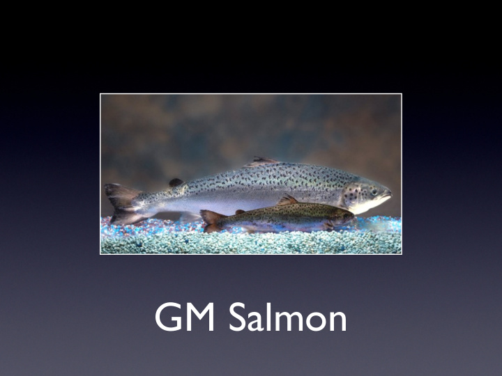 gm salmon why gmo