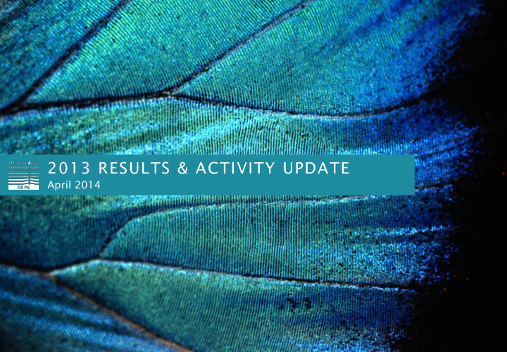 2013 results activity update