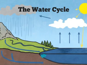 What Is the Water Cycle?  More than three quarters of the Earth's surface is water.  Some of this