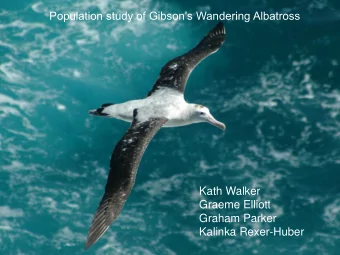Population study of Gibsons Wandering Albatross  Kath Walker  Graeme Elliott  Graham Parker